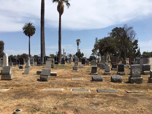 長青墓園及火葬場 图片 5