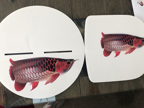 九號招牌 图片 7