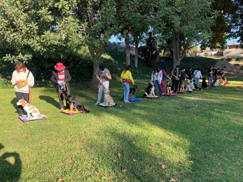 忠犬俱樂部 图片 4