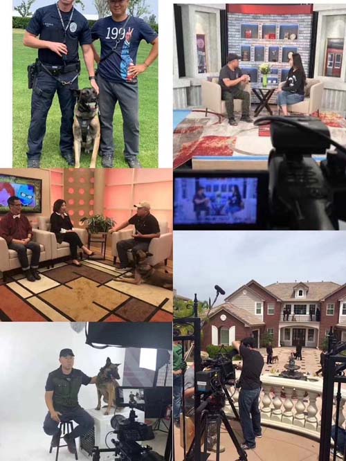 忠犬俱樂部 图片 9