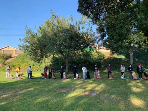 忠犬俱樂部 图片 2