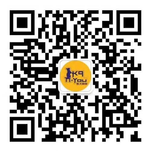 忠犬俱樂部 图片 3