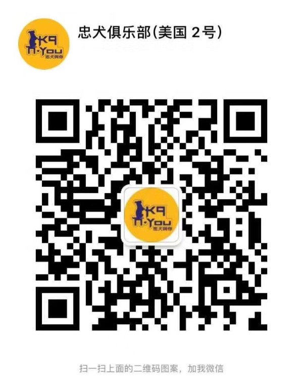 忠犬俱樂部 图片 8