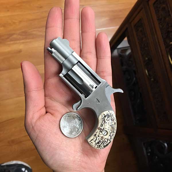 亞凱迪亞槍店 图片 6