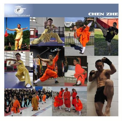 全国传统武术冠军 陈哲教练 给您带来真正少林功夫 图片 4