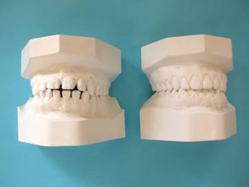 毛有群牙醫博士 图片 5