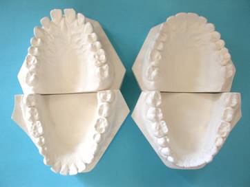 毛有群牙醫博士 图片 6