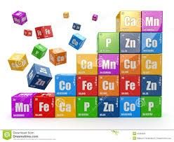 鍾博士化學數學家教 图片 5