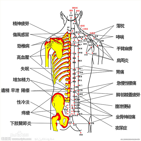 炎黃中醫 图片 5