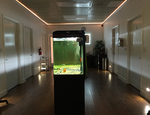 愛心中醫針灸診所 图片 2