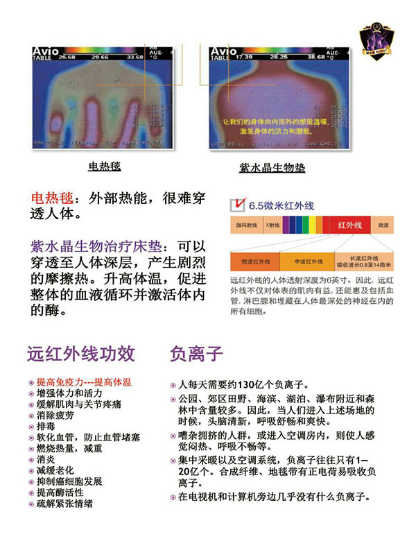 紫水晶生物治療床墊 图片 5