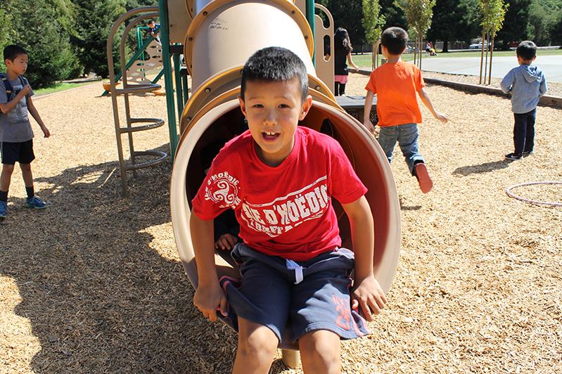 階梯中文學校 图片 6