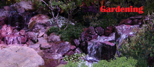 美新房屋管理/恆昇投資 图片 1