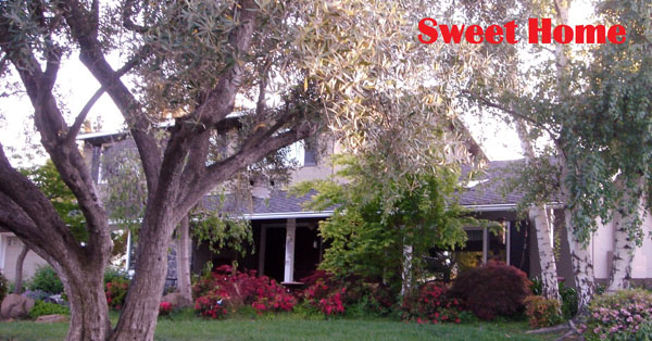 美新房屋管理/恆昇投資 图片 6