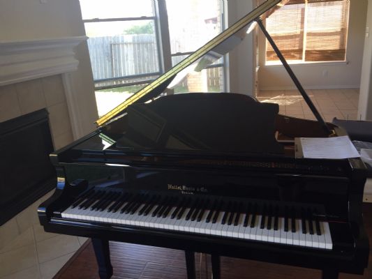 出售三角钢琴，95新 [三角钢琴]