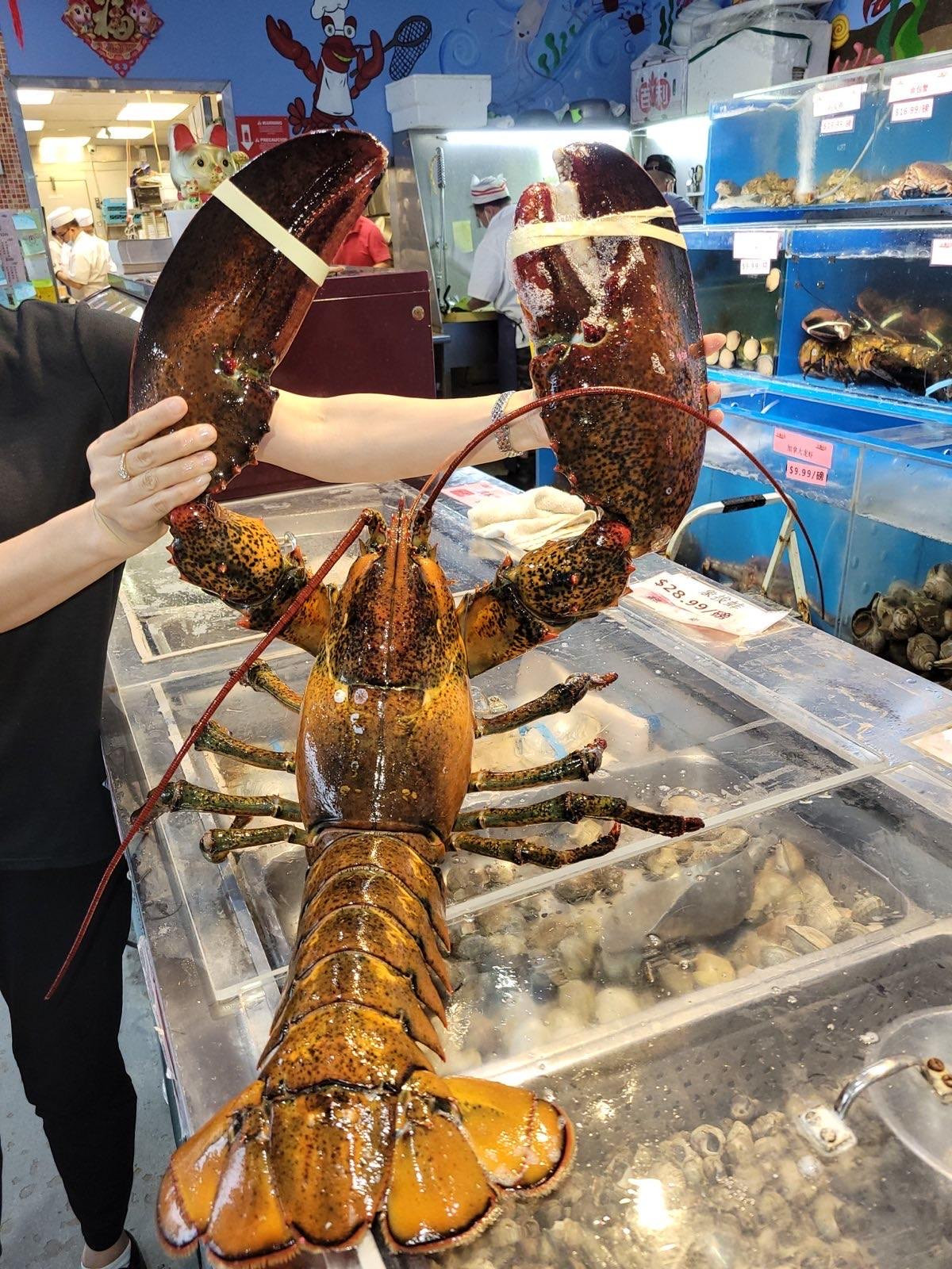 法拉盛海鲜盛宴“渔村”718-888-2268 [法拉盛粤式海鲜“渔村”]