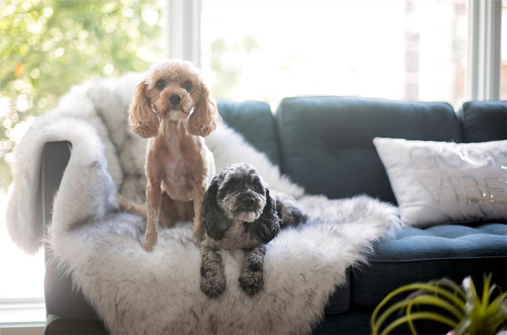 巨大的投资物业在髋布鲁克林纽约