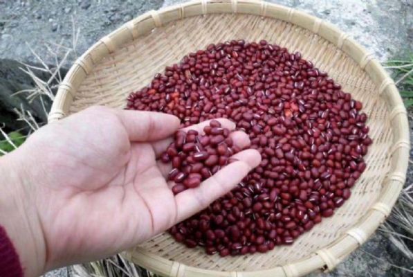 Introduction of Mocha - Wantan Red Bean Can photo 4