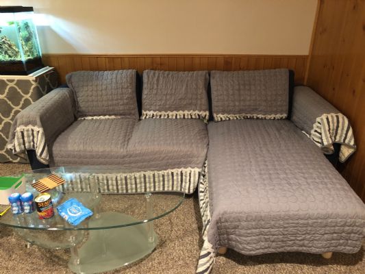 Corner Sofa and 55 Gallon Fish Tank for Sale [Fish Tank]