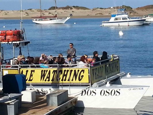 Personalized guided tour of the American West photo 6