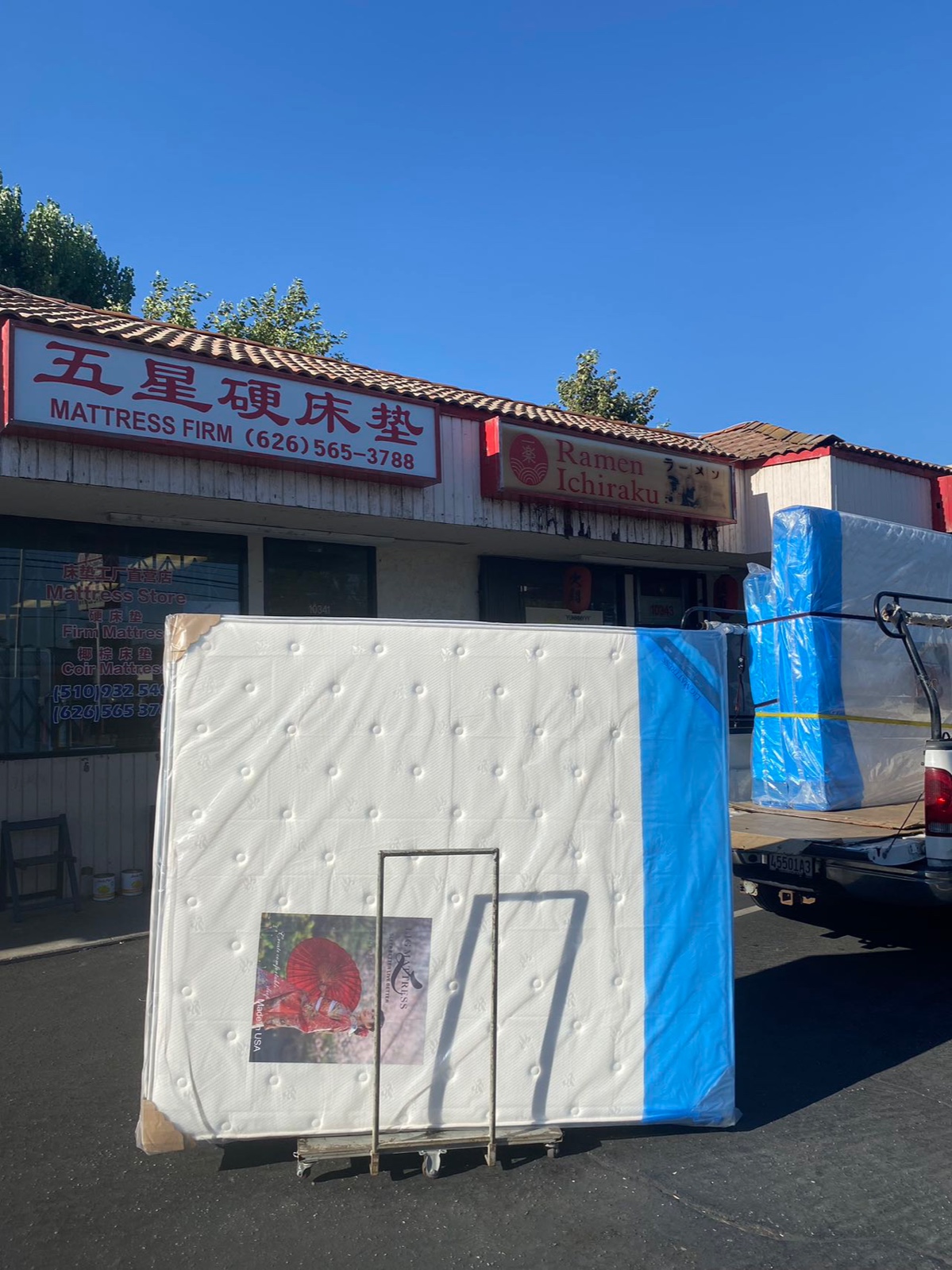 洛杉矶|给父母一张睡着舒服的硬床垫 图片 5