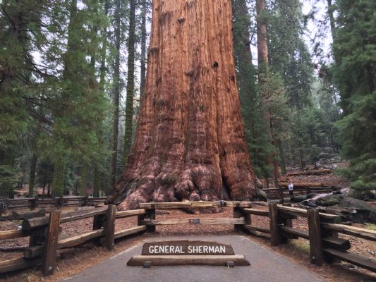 美国西部五大峡谷7日游行程