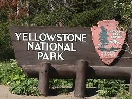 Yellowstone National Park 黃石公園系列