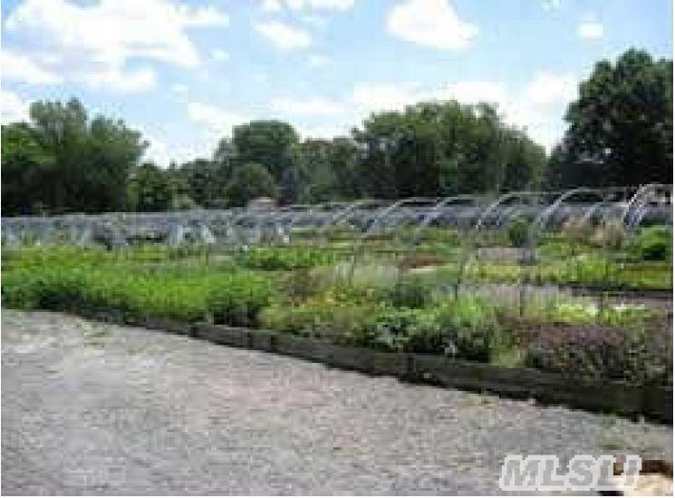 Horton Ave, Riverhead, NY, 11901