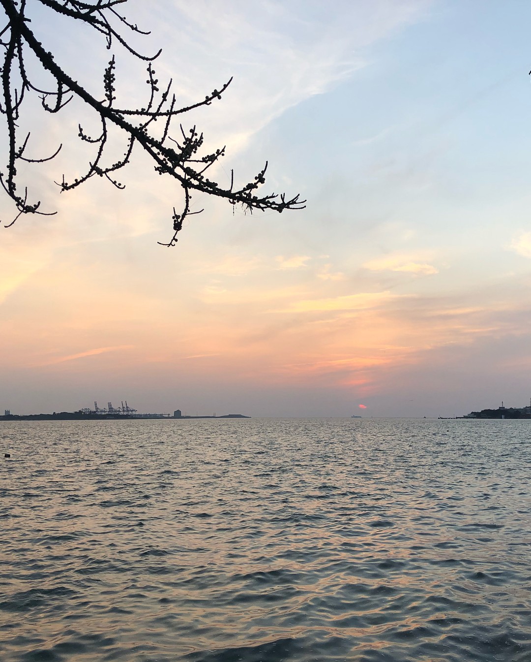 招聘一名具备责任心的做饭大姐