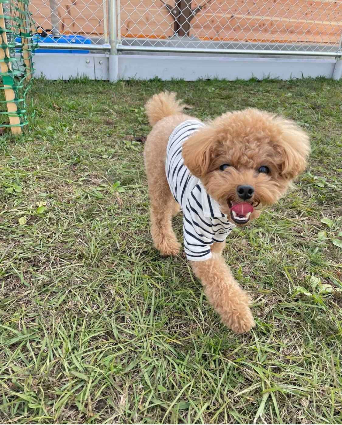 佳禾家政招聘高薪职业 图片 2