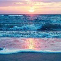 北美科技公司 产品经历了市场的考验 诚聘业务代理