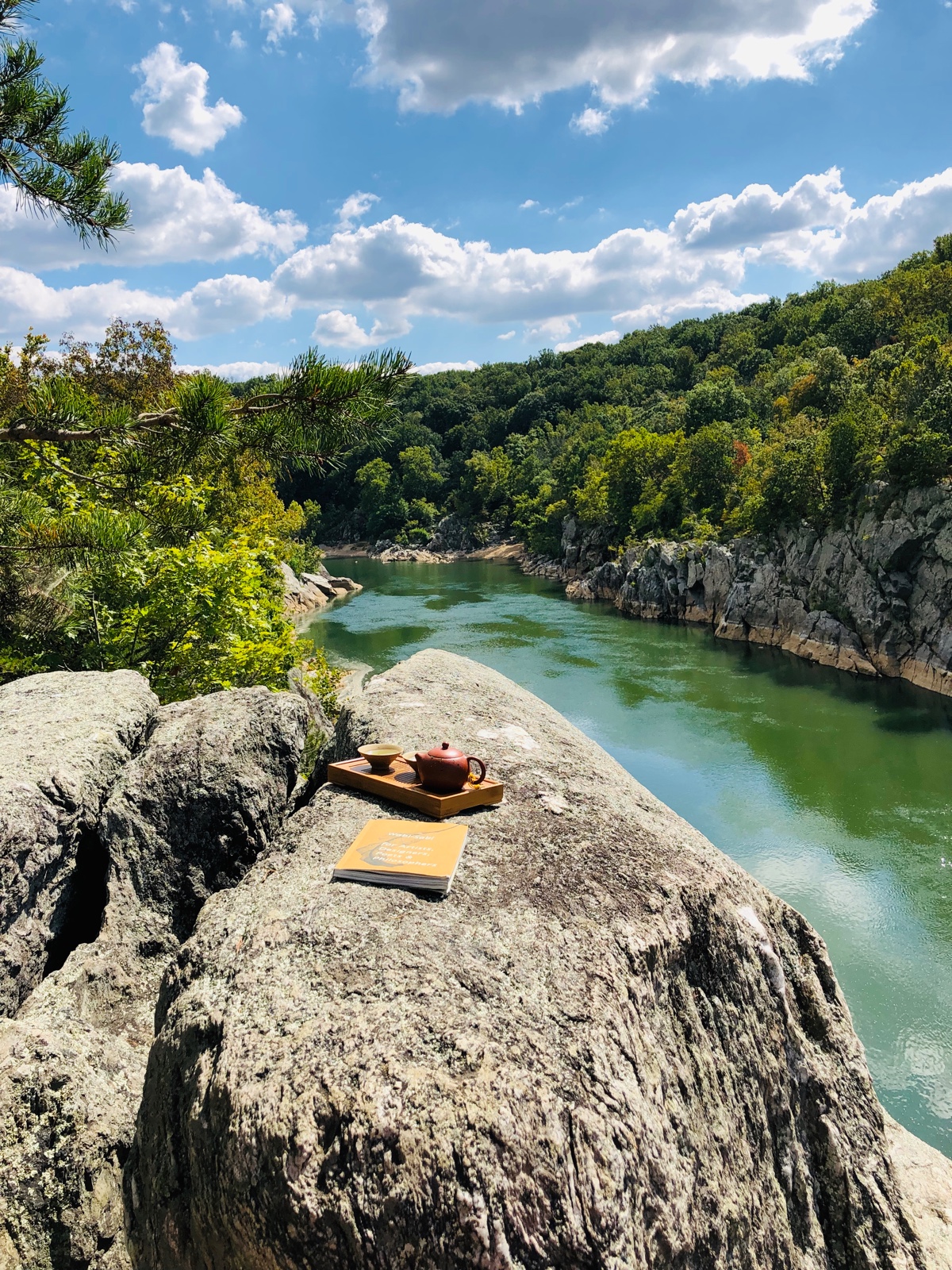 中国茶馆 Chingching CHA 诚聘服务生和厨房帮工 图片 2