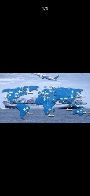 中国国际物流服务公司