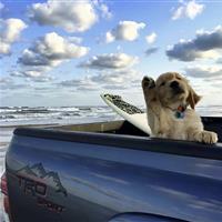 急招！急招保姆！！！