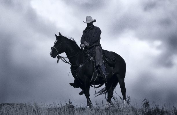 旧金山急用钱用钱找我 无需抵押当日下款