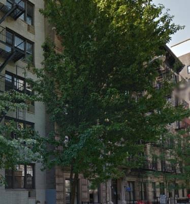 纽约曼哈顿东村多套一室一厅公寓正在出租