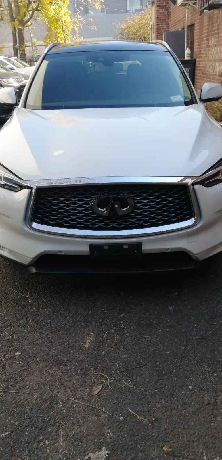 2019 infiniti QX 50 1W4 Mai