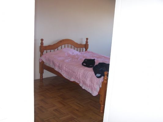 搬家急售 MOVING SALES