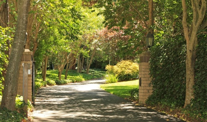 近世界著名的斯坦福大学 优雅高档美景房 图片 2