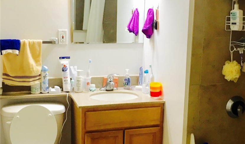 Good house for rent on Chicago's Gold Coast. Girls only. Available for occupancy in December and January. photo 7