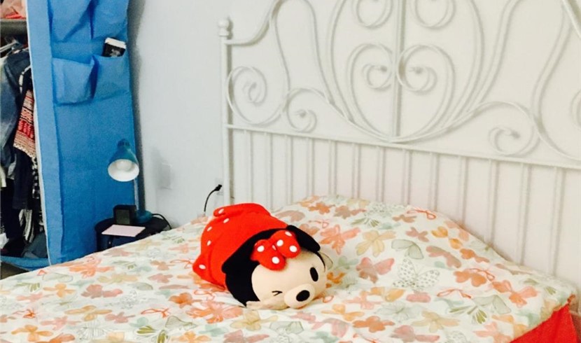 Good house for rent on Chicago's Gold Coast. Girls only. Available for occupancy in December and January. photo 3