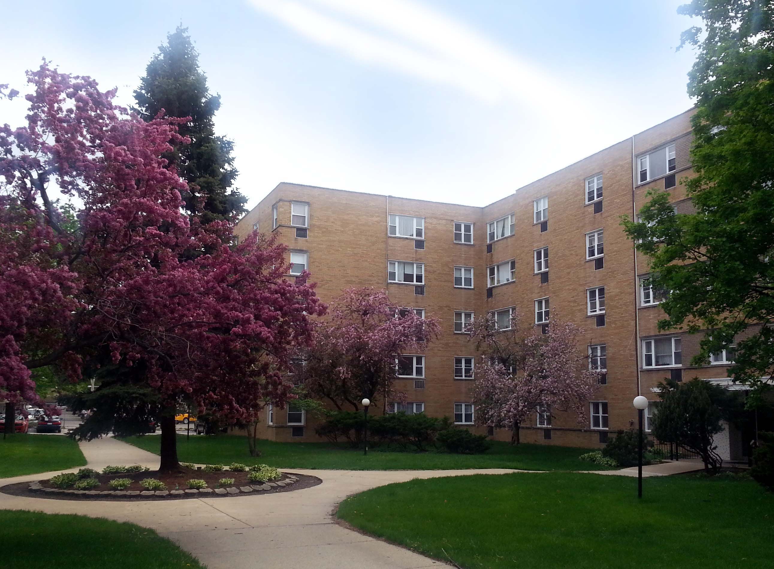 包水电煤,2室1厅1卫100平,1200刀配家具,近大学