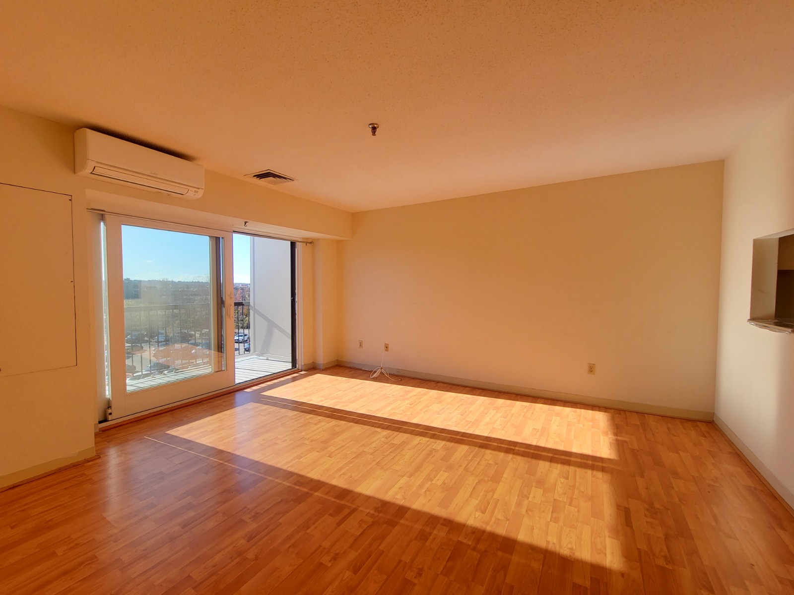 Sunny Quincy Center 1bdr/1ba Condo