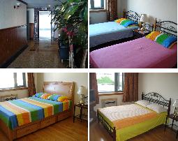 纽约法拉盛一松亭旅馆 图片 1