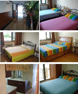 纽约法拉盛一松亭旅馆 图片 3