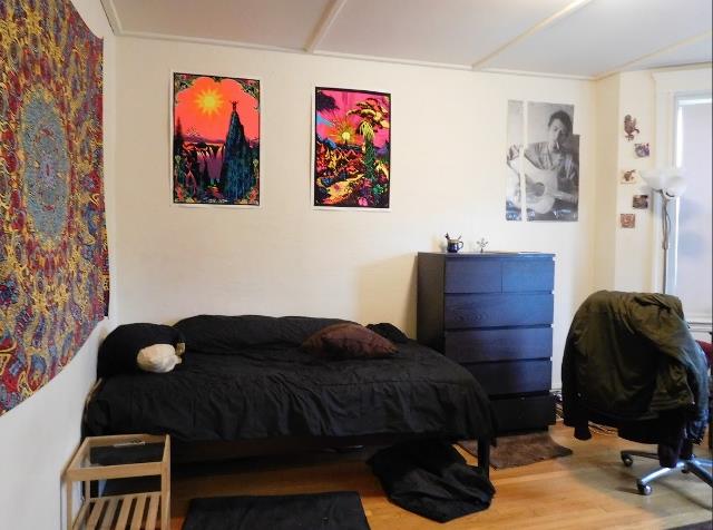 【Fenway/Kenmore】【免中介费】Studio包水暖 1725