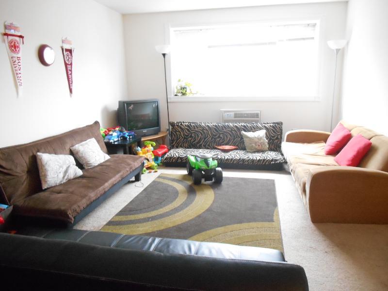 【Brighton】Embassy Rd. 2居室精装公寓出租，临近BC