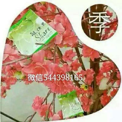 四季优美随便果效果如何 好吗 有什么作 用 怎么代理 总代微信544398165 图片 4