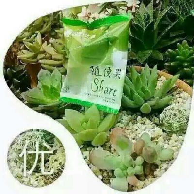 四季优美随便果效果如何 好吗 有什么作 用 怎么代理 总代微信544398165 图片 5