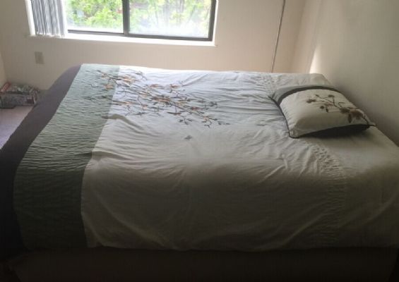 甩卖 价钱好商量 图片 2